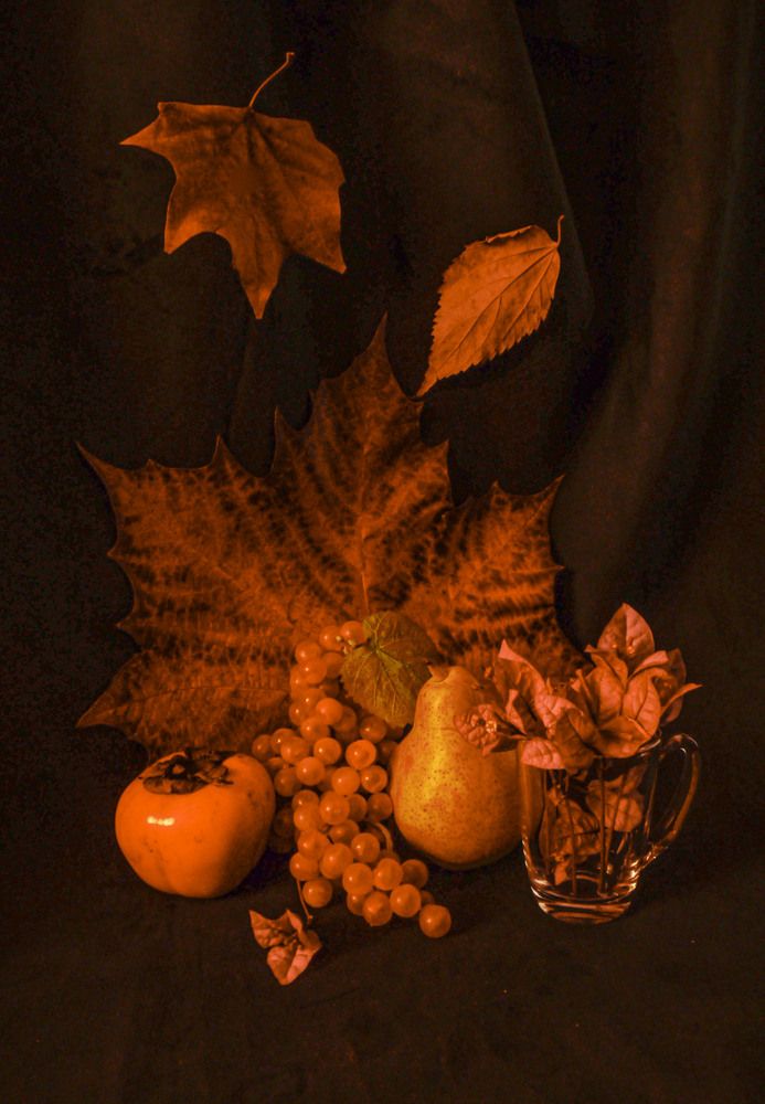 Photograph by Alla Shapochnik