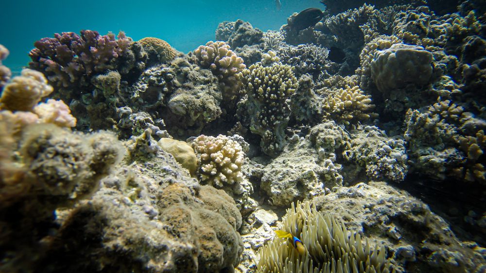 Photograph by Юлия