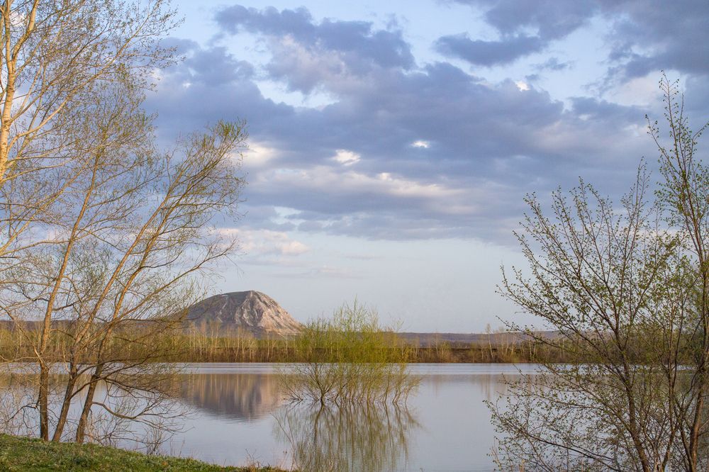 Фотография автора Дарья Рогозина