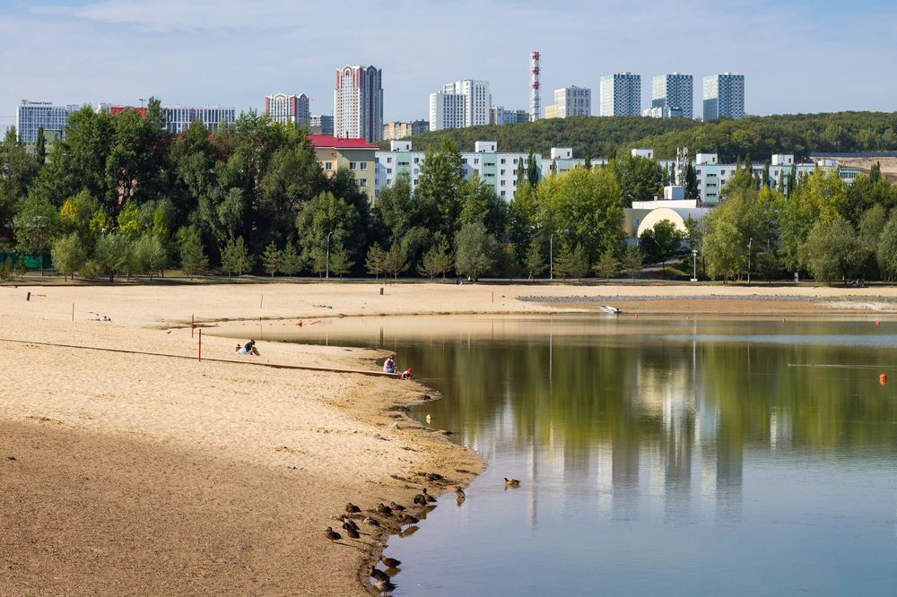 Фотография автора Дарья Рогозина