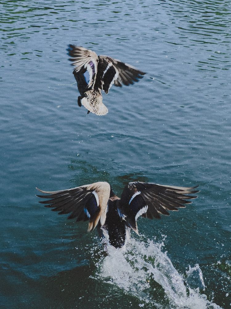 Фотография автора Анна Рыжикова