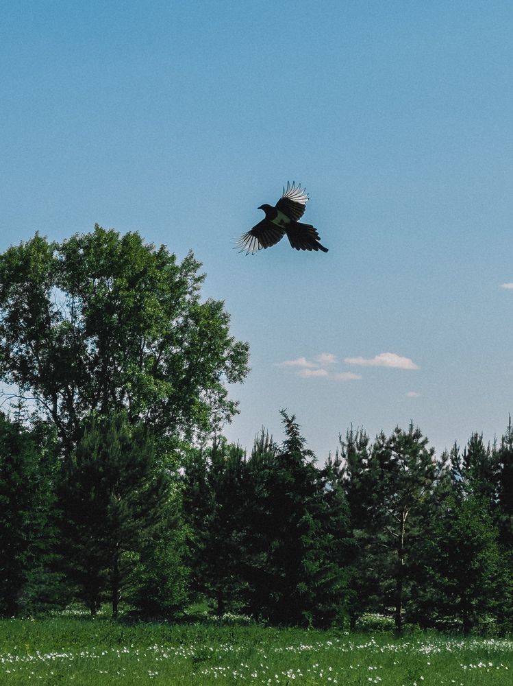 Фотография автора Анна Рыжикова