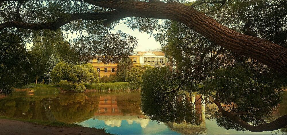 Photograph by Ирина Соколова