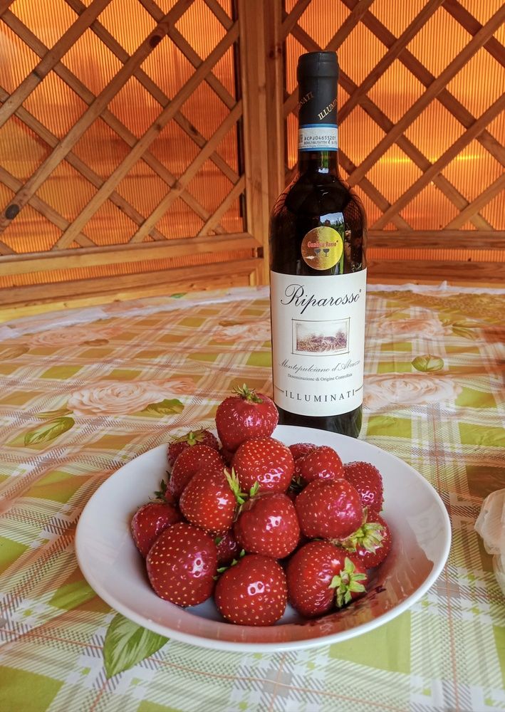 Photograph by Sergey Kurkov-Tarkovsky