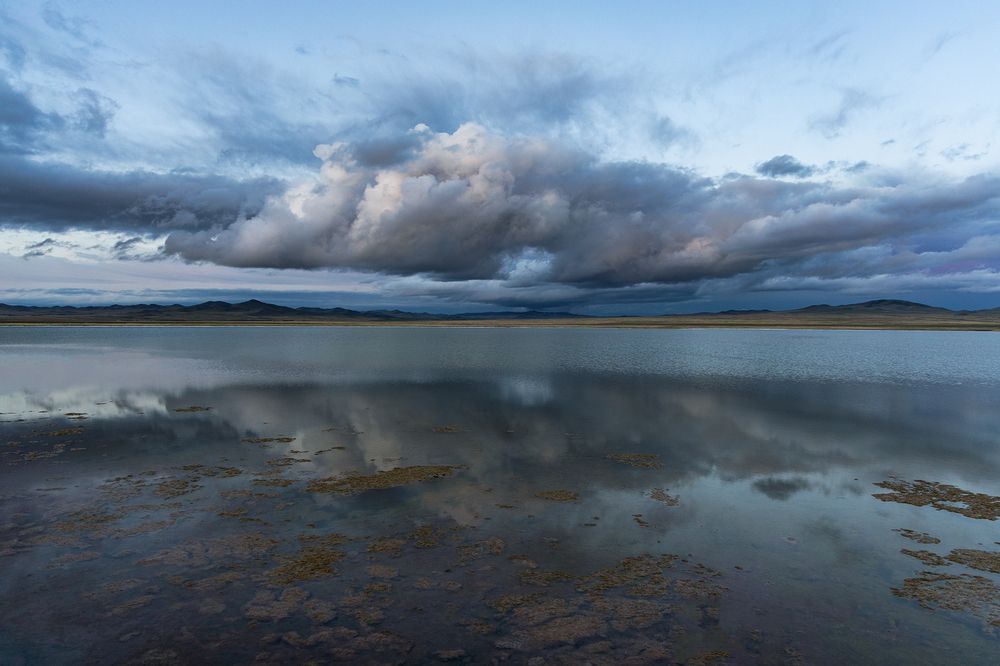 Photograph by Альберт Куулар