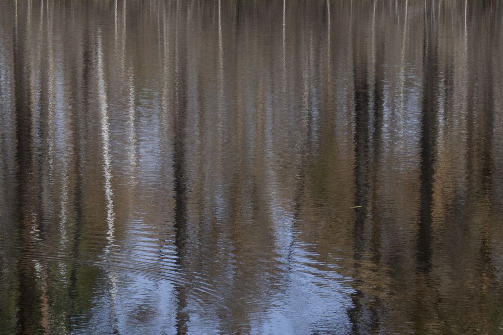 Фотография автора Екатерина Пачина