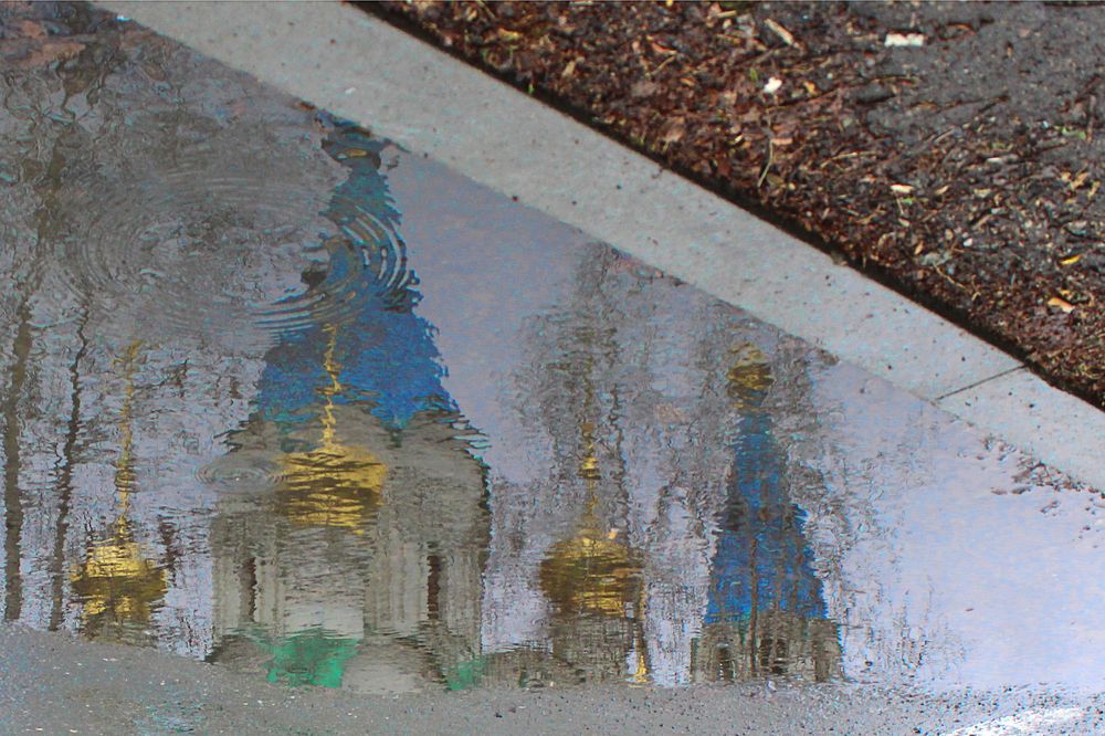 Фотография автора Екатерина Пачина