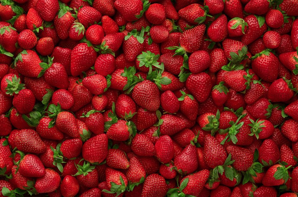 Photograph by Mahmoudaphotography