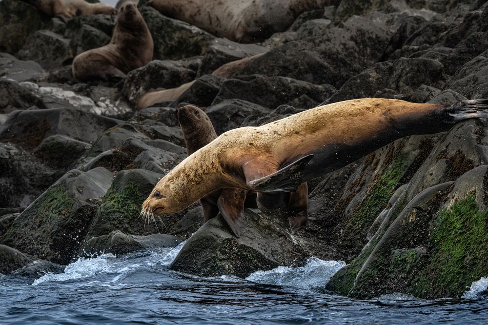 Photograph by Ольга Мусиенко