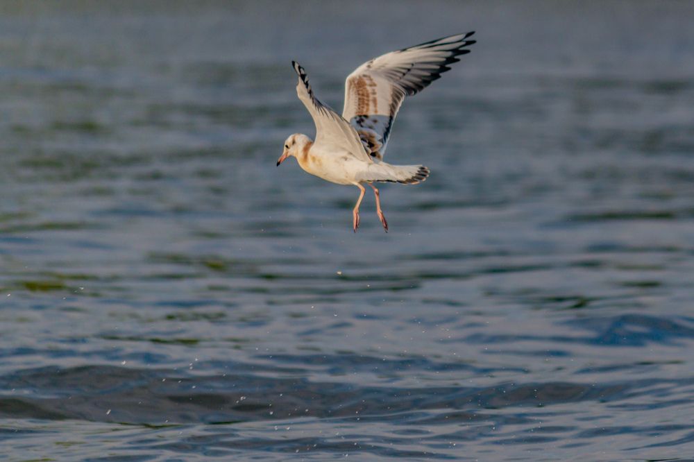 Фотография автора Потоцкий Вячеслав