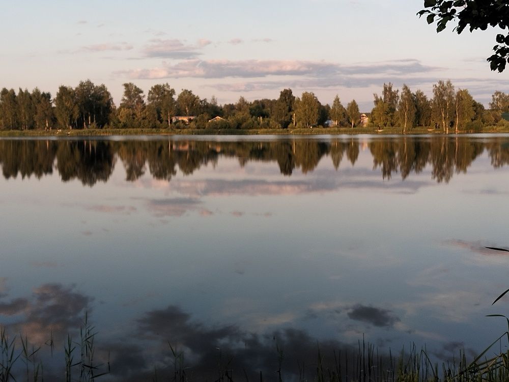 Photo #12326577