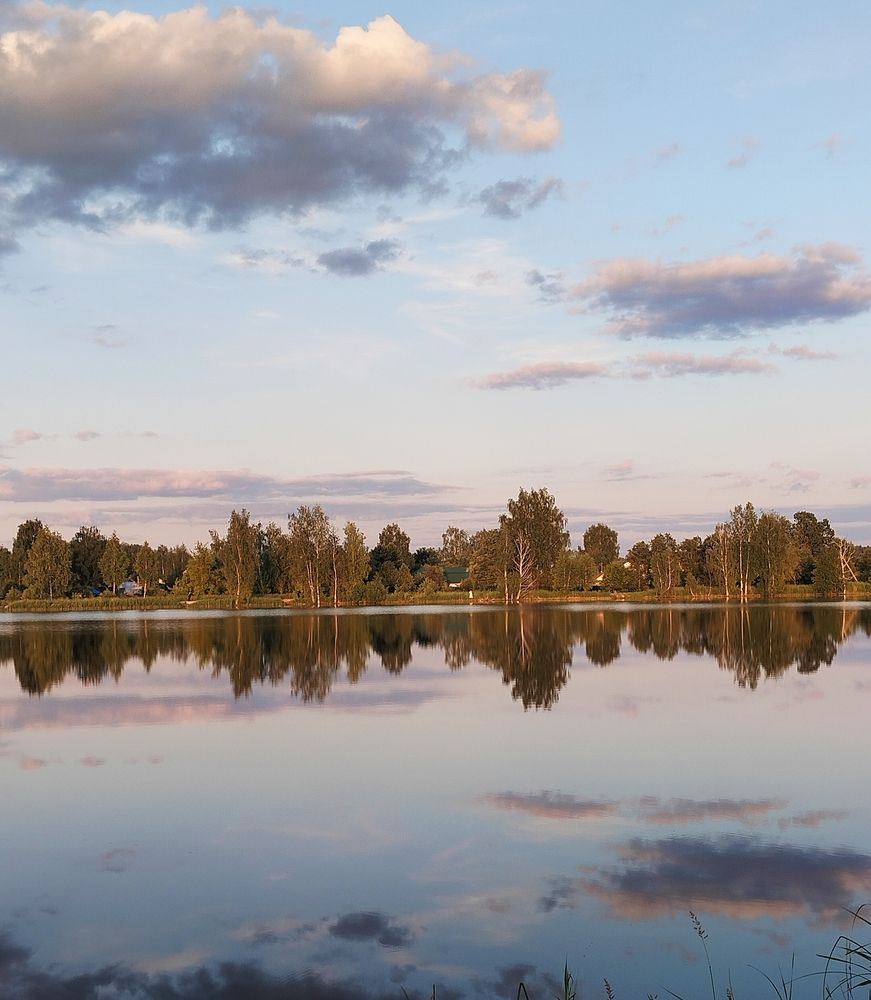 Photo #12326578