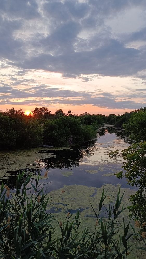 Фотография автора Светлана Анатольевна Чернышова