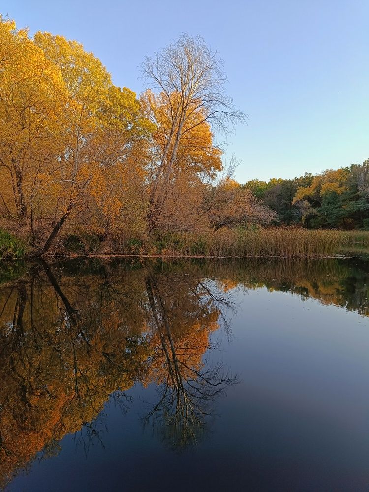 Фотография автора Светлана Анатольевна Чернышова