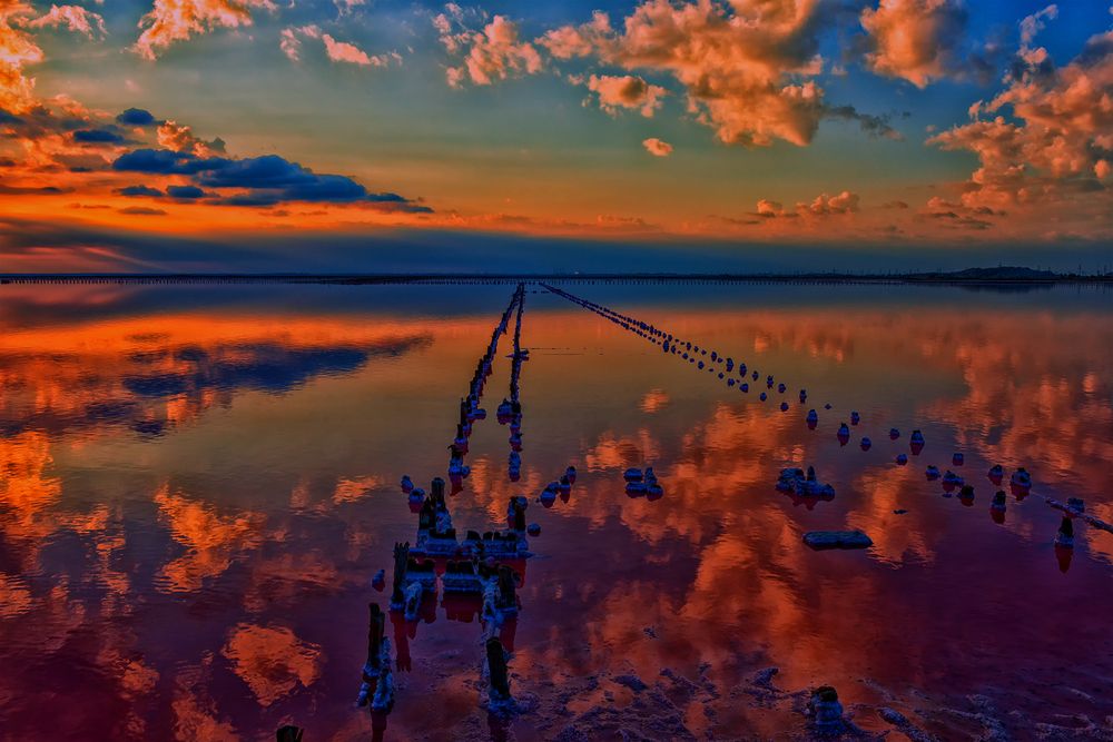 Photograph by Владимир Ушаров