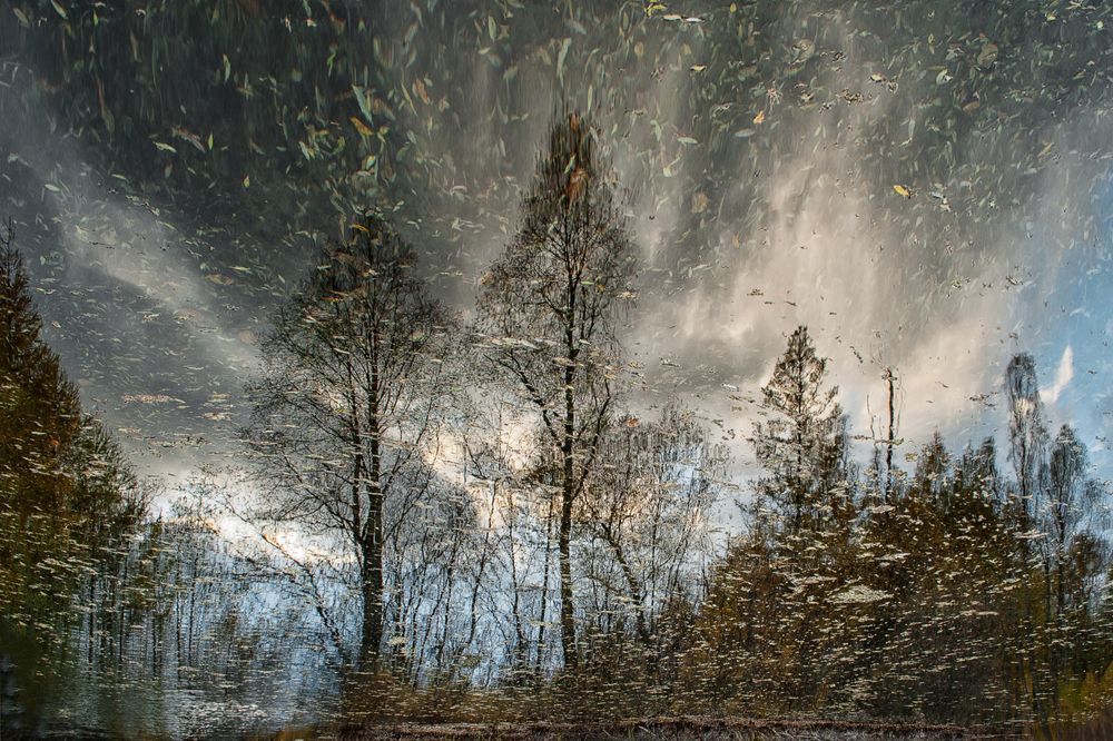 Фотография автора Наталья Решетник