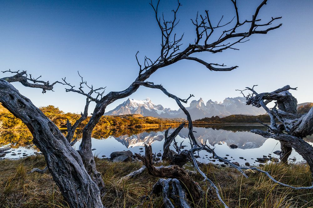 Among Ancient Silhouettes