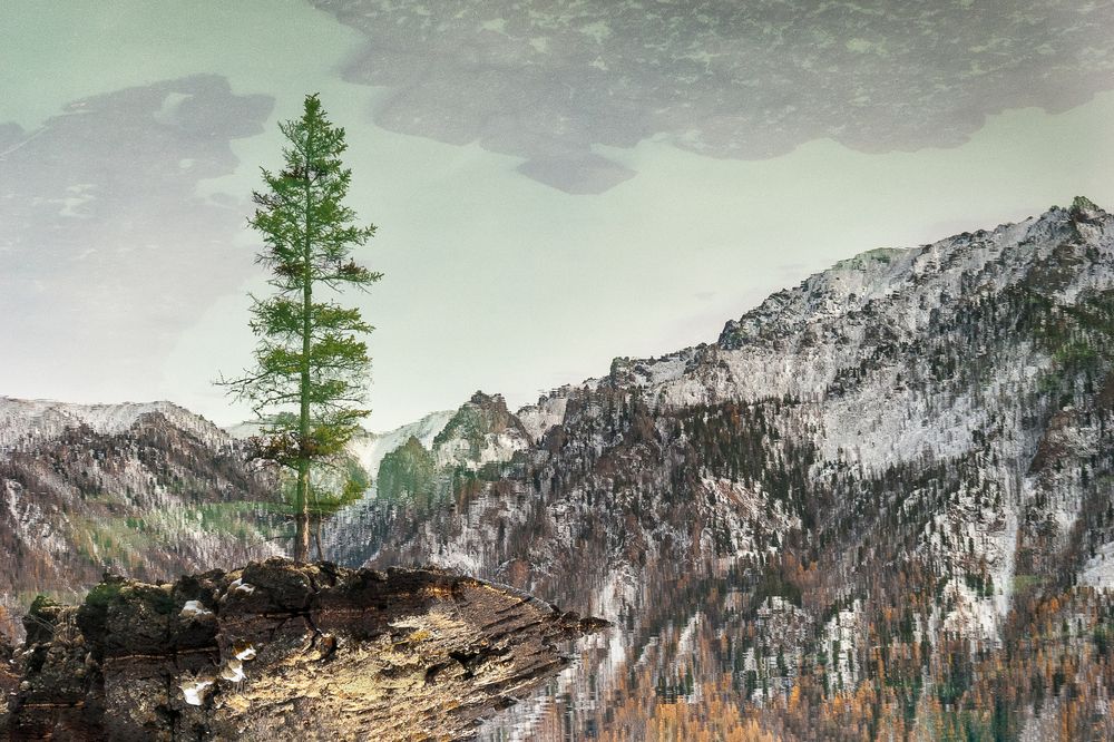 Фотография автора Наталья Решетник