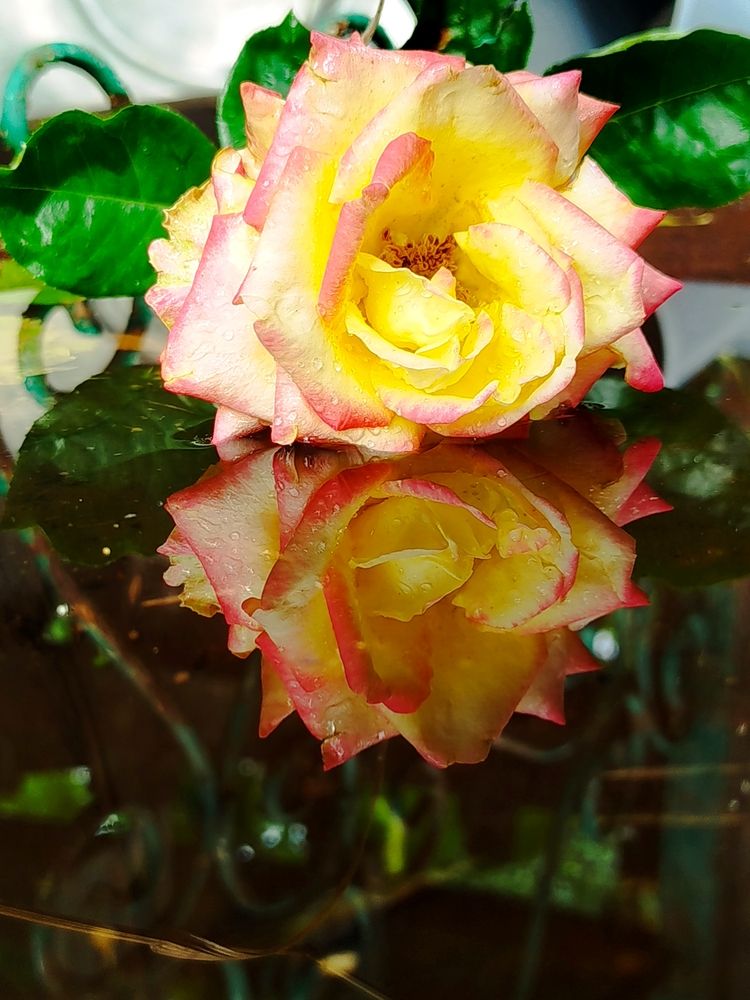 Photograph by Наталья Назаренко