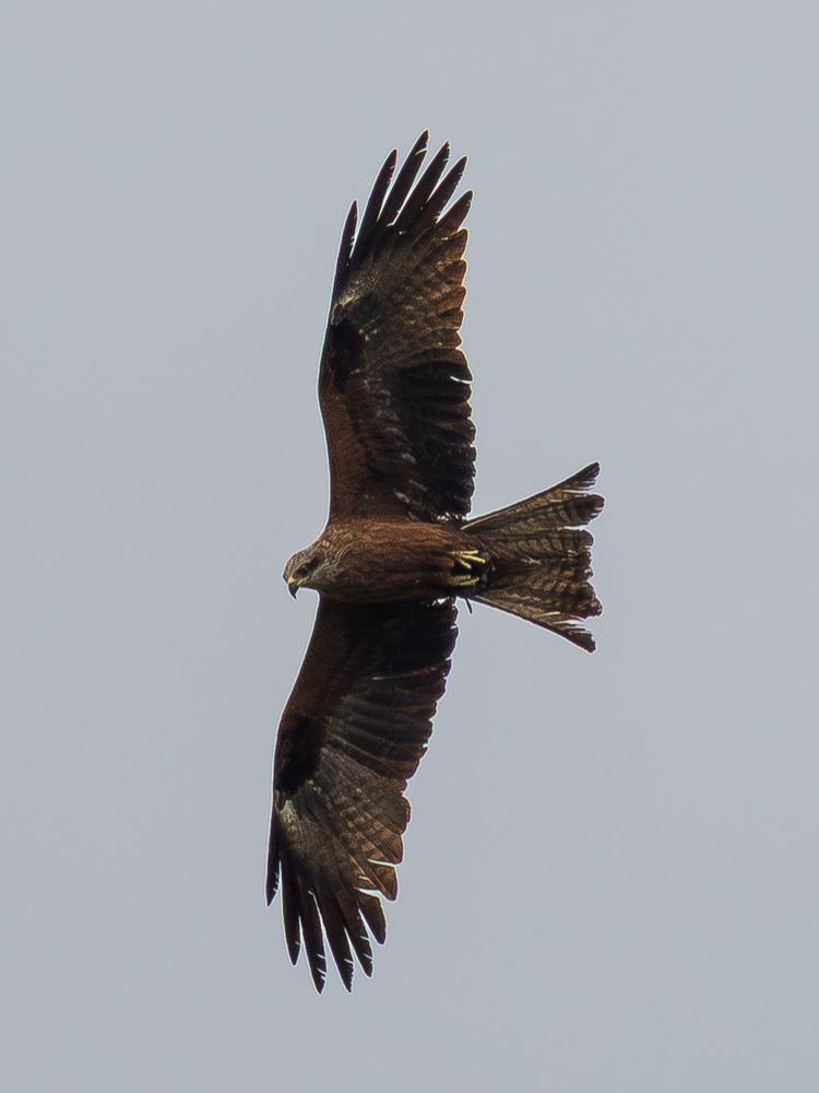 Photograph by Ольга Сергеева