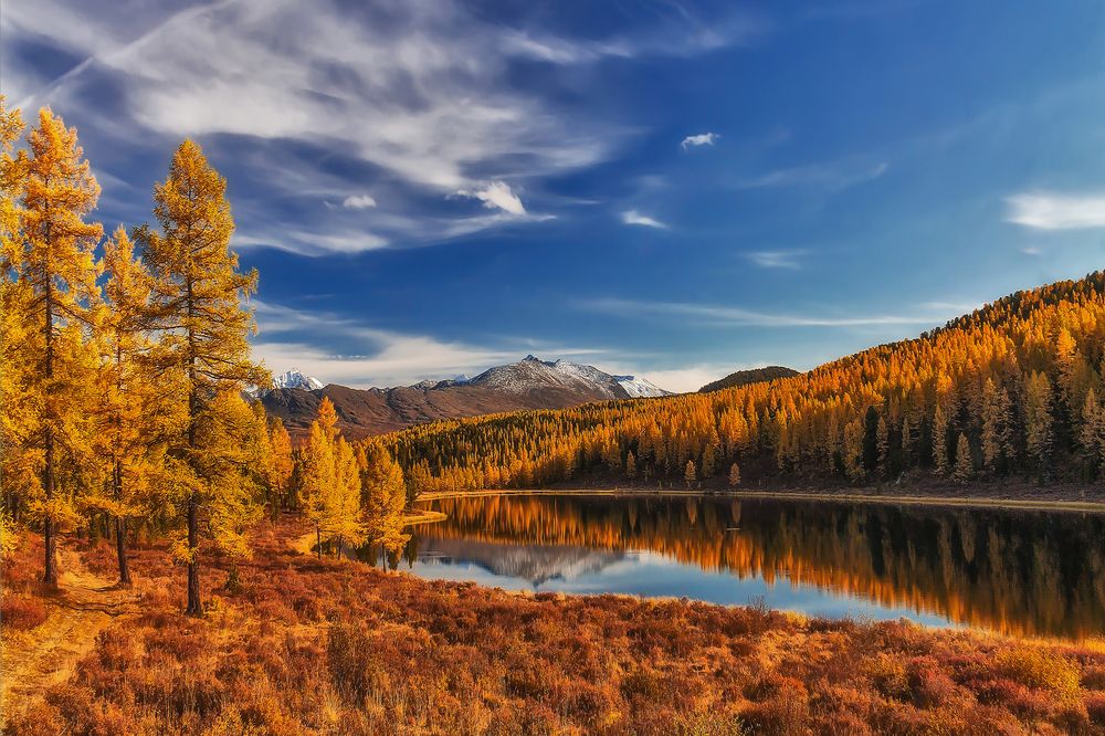 Фотография автора Юдинских Марина