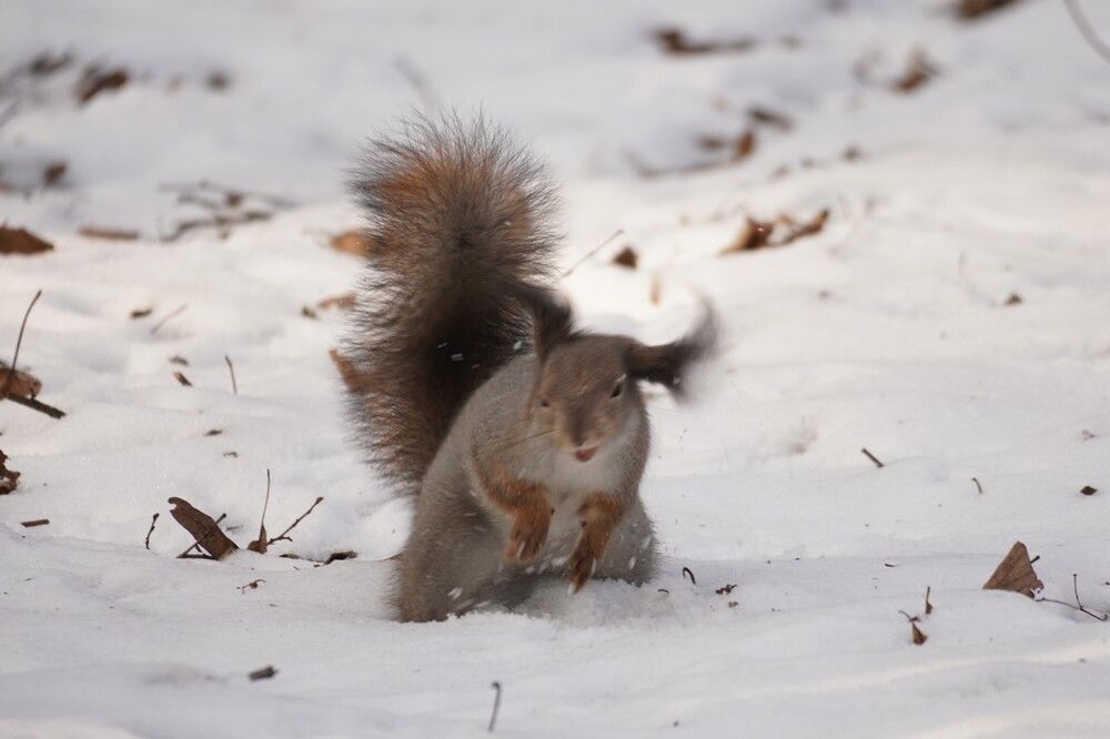 Photograph by Алфия Бугакова