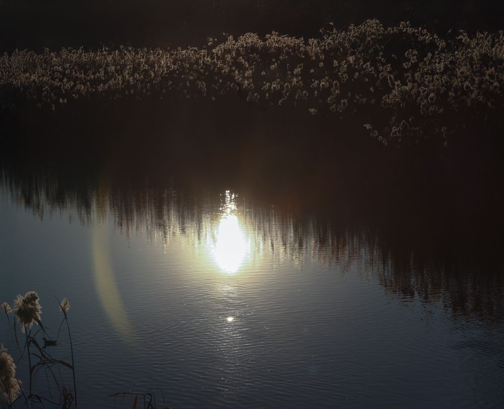 Photograph by Ирина Бескровная