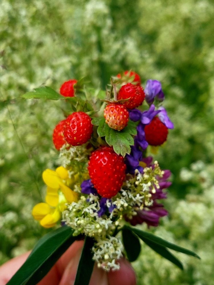 Фотография автора Анастасия Куликова