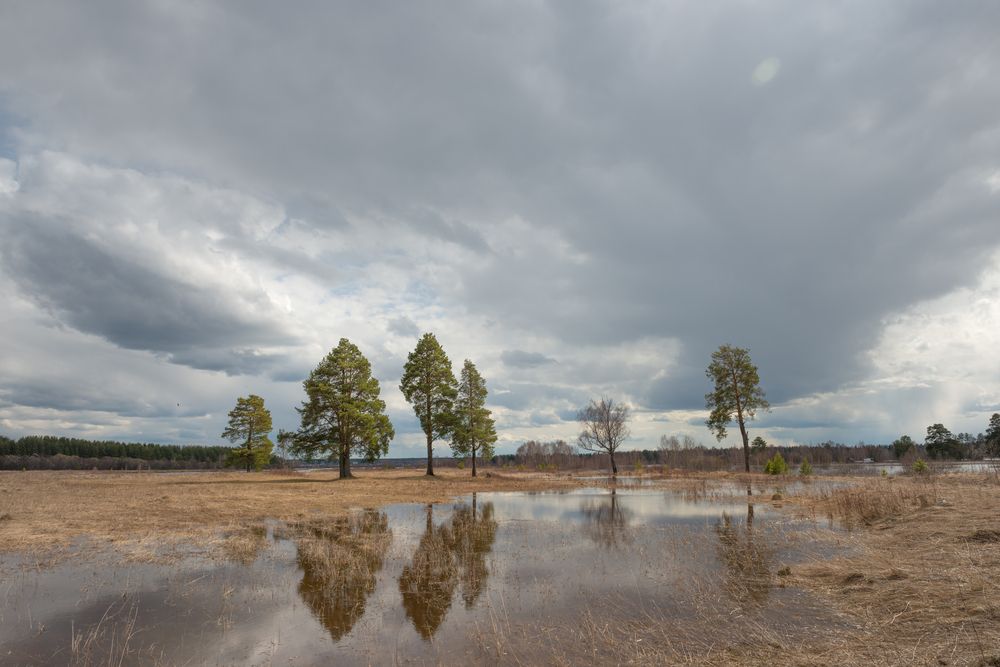 Большая лужа