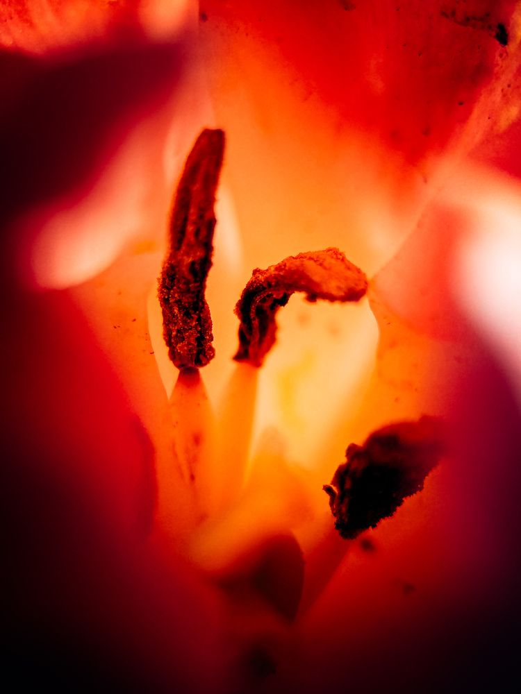 Фотография автора Margarita Naumczyk