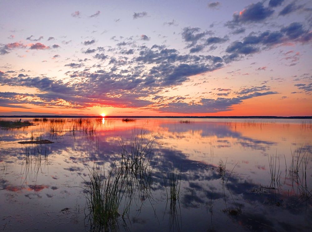 Фотография автора Кухта Мария