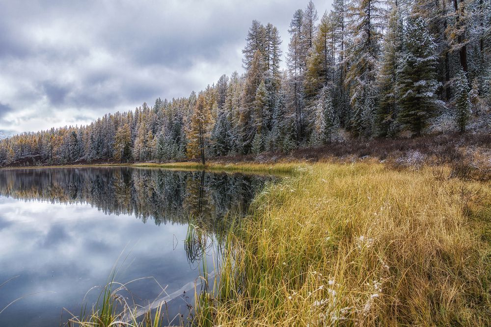 Фотография автора Юдинских Марина