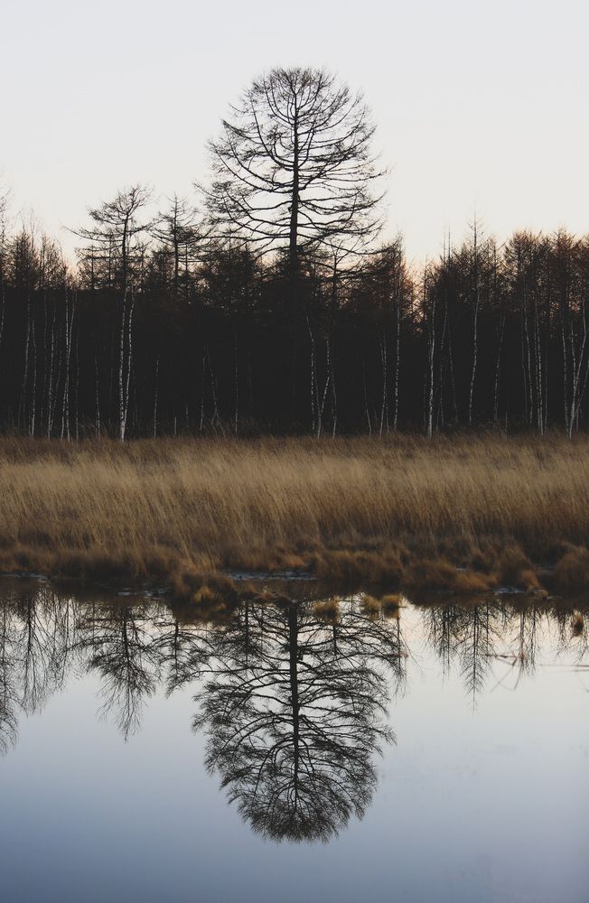 Photograph by Александр Салякаев