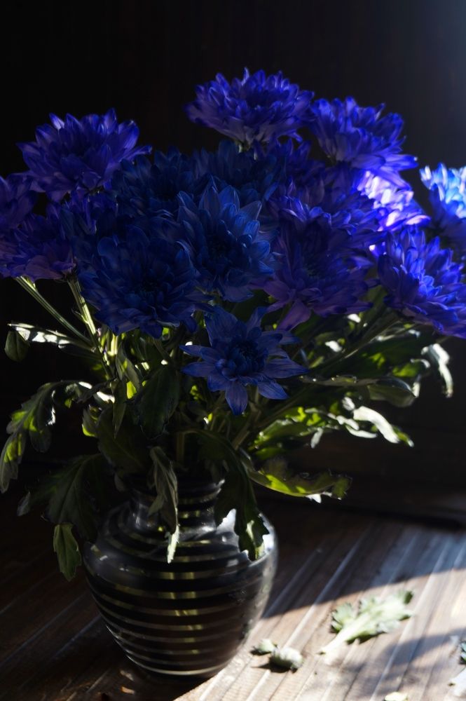 Photograph by Наталья Растопчина