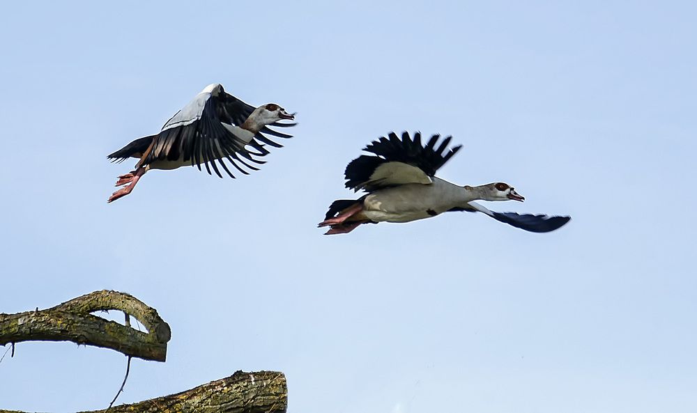 Фотография автора Александр