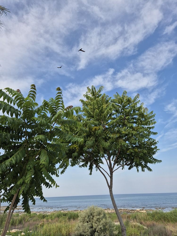 Photograph by Gulmira