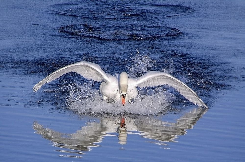 Фотография автора Александр