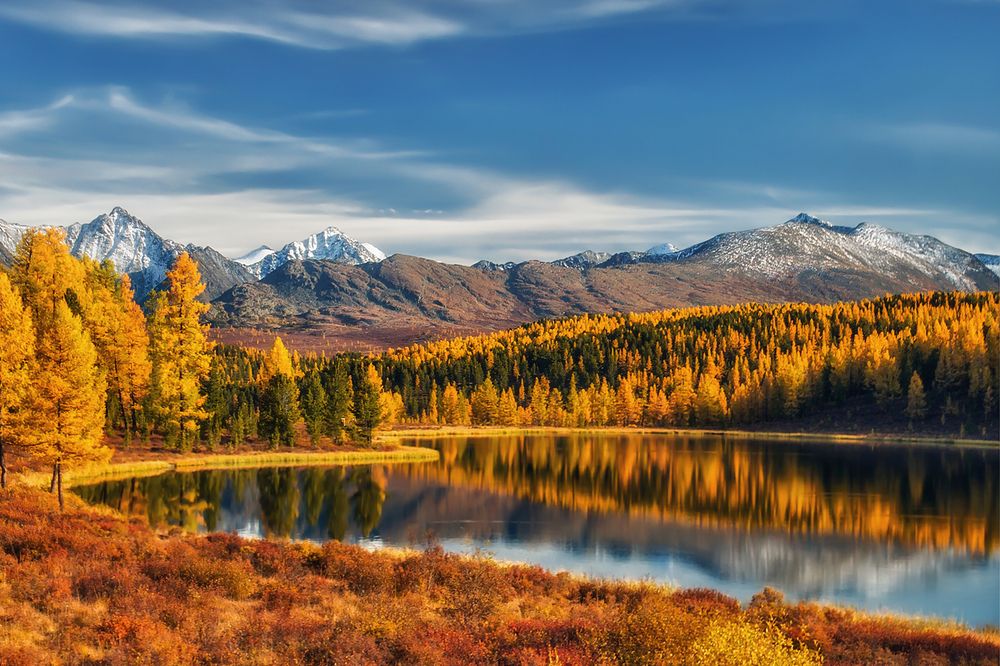 Фотография автора Юдинских Марина