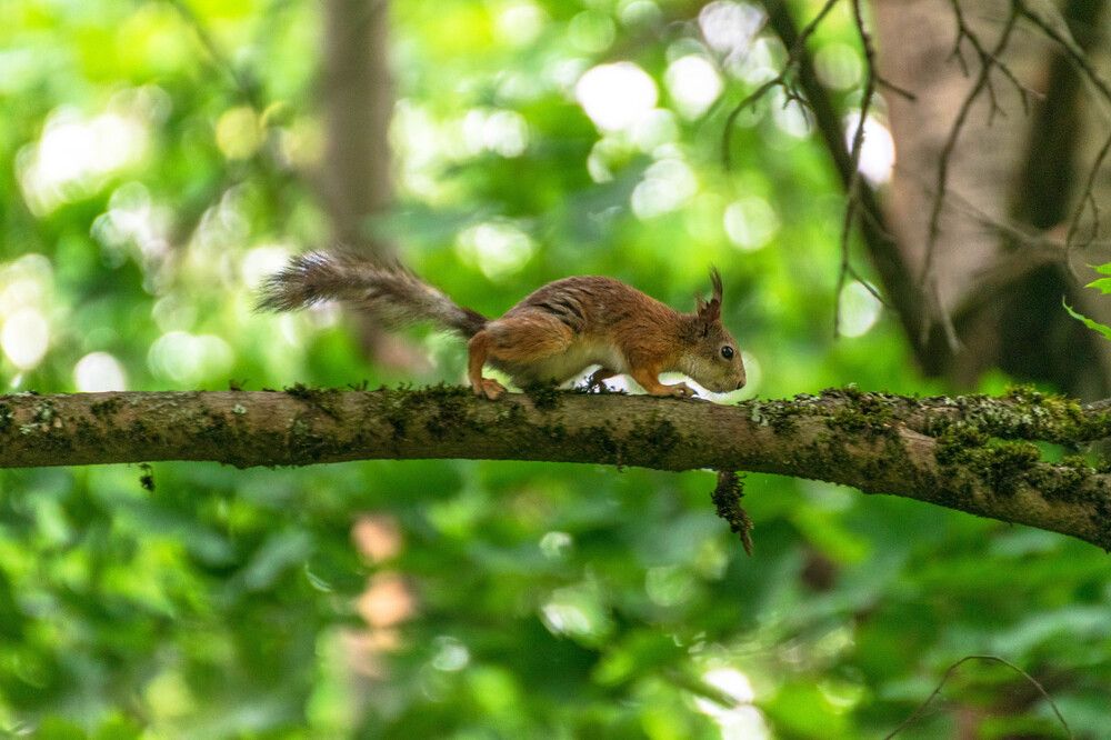 Photograph by Наталья Вялых