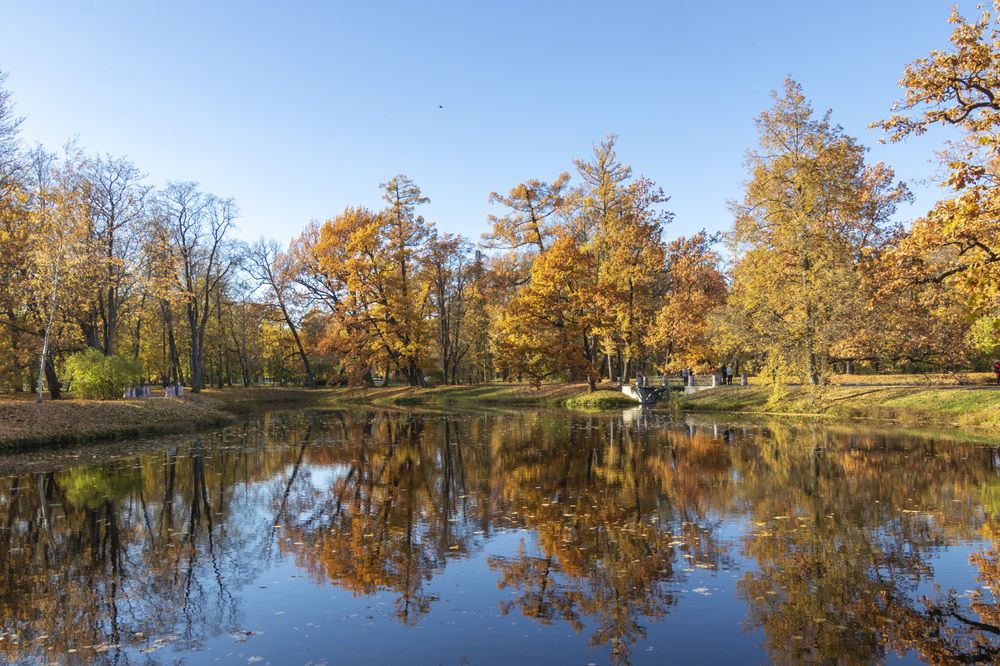 Photograph by Валентина Куренкова