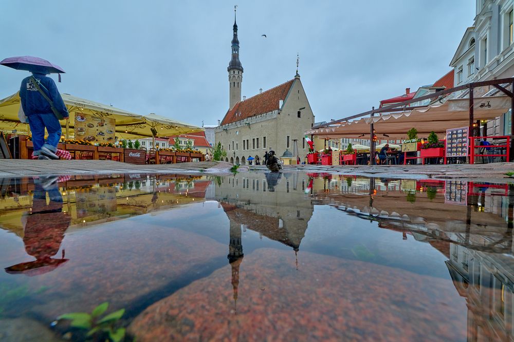 Photograph by Valery Zmachynski