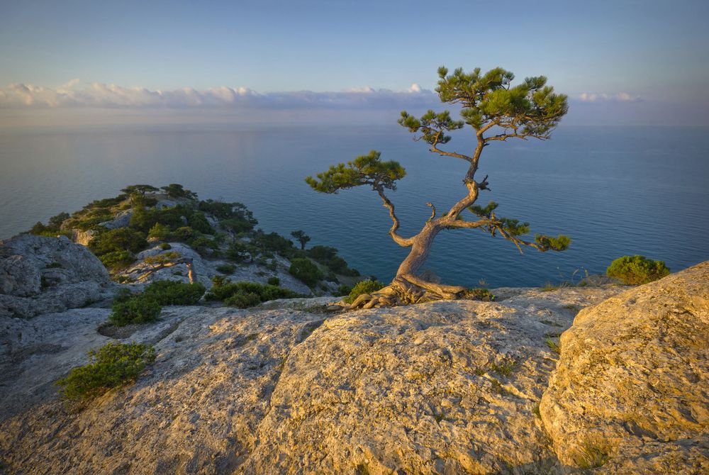 Photograph by Кухта Мария