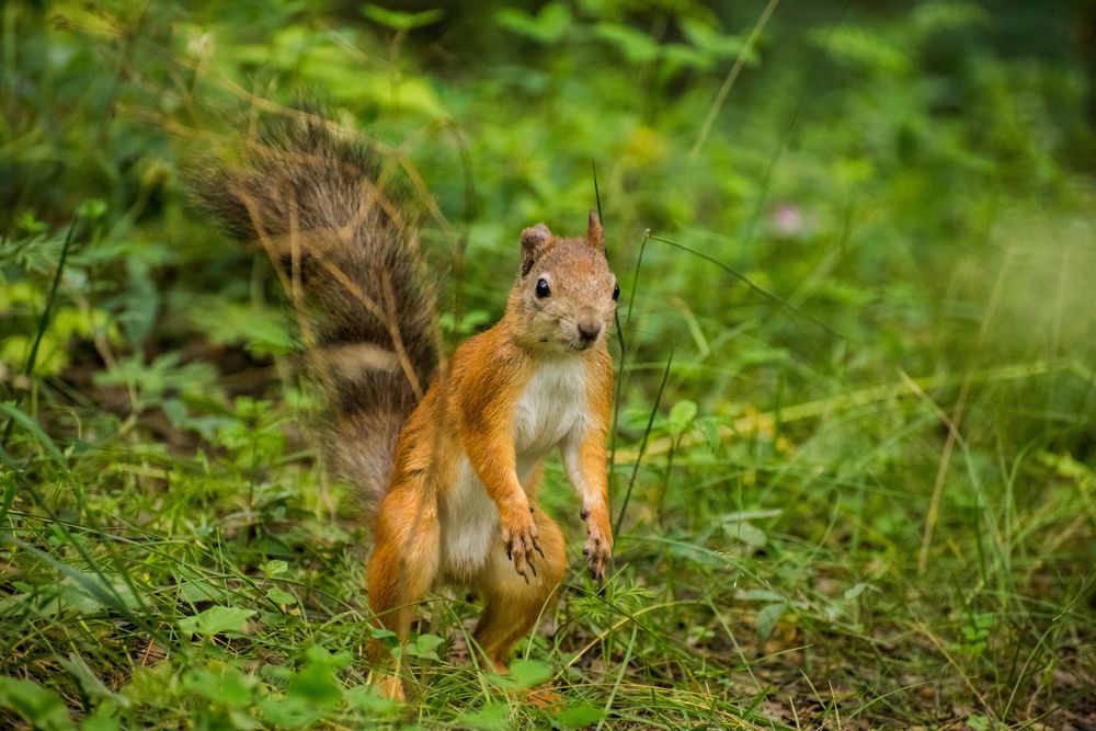 Photograph by Ирина