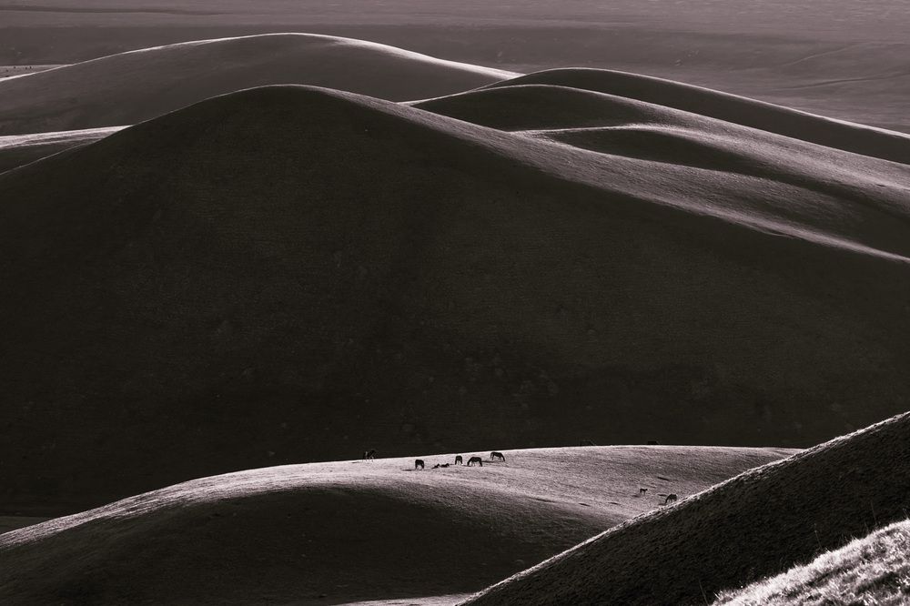 Photograph by Межин Сергей
