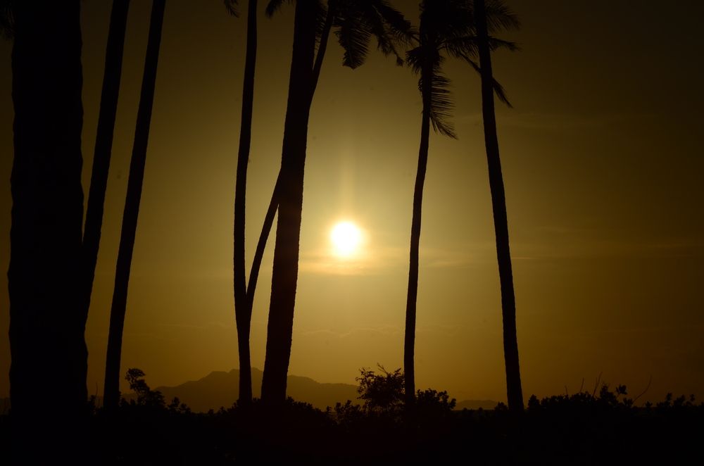 Фотография автора photograph Umar abdi