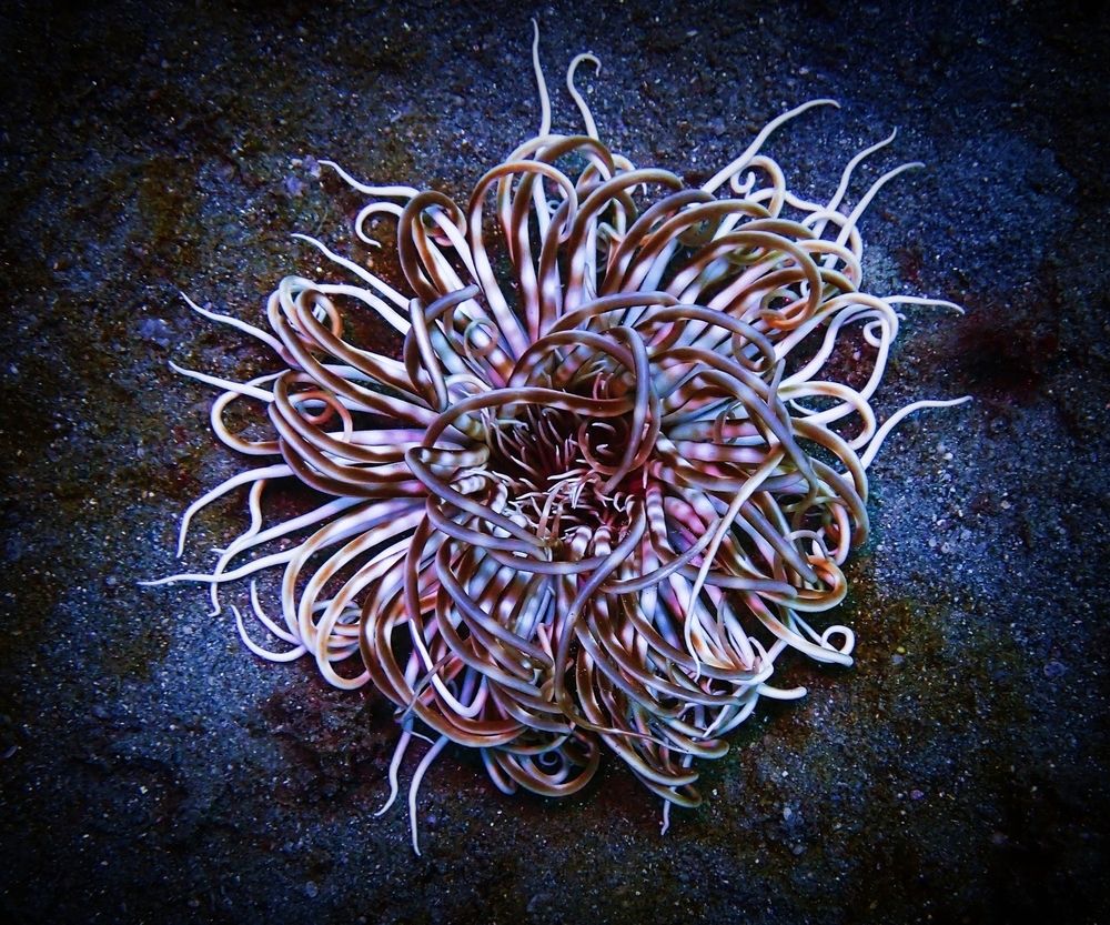 Photograph by Кирилл Леднев