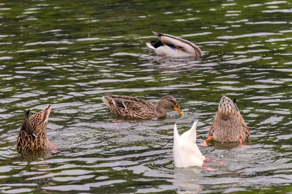 Photograph by Наталья Вялых