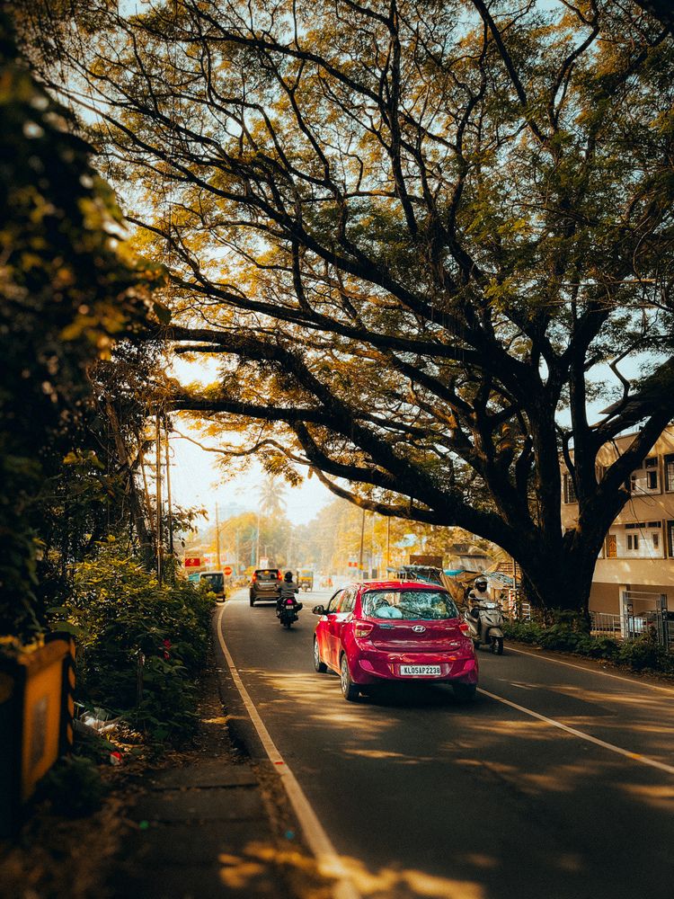 Photograph by Ashiq P F Mohammed