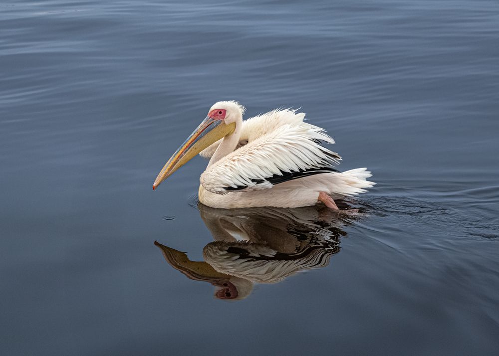 Photograph by Елена Захарова