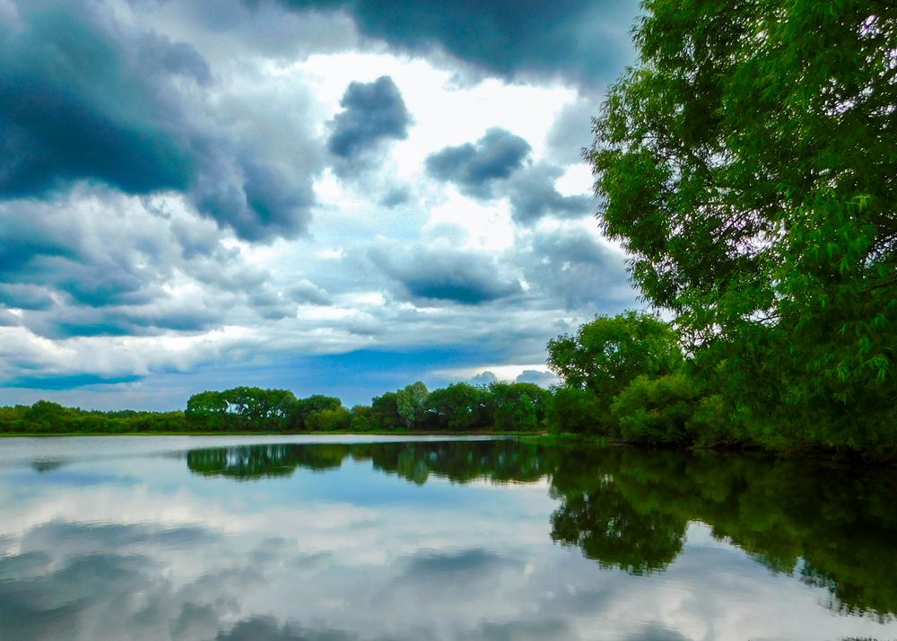 Photograph by Олеся Бронзова